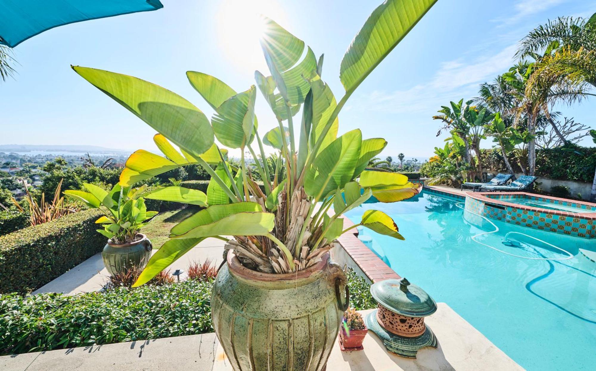 סן דייגו 360 Degree Ocean & City Views With Pool, Spa, Close To The Beach! Pets Ok מראה חיצוני תמונה